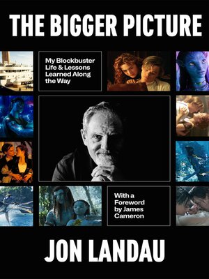 cover image of The Bigger Picture